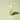 Blessing of Sprout Calming Cleanser 170ml