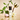 Lotus Leaf + Camellia Mist 80ml