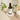 Daily Defence Moisture Mist 100ml - Evolve Organic Beauty